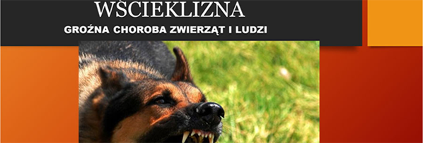 wścieklizna