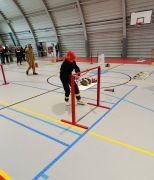 641240679257579686705424135651178876102266964n